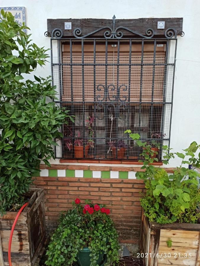 דירות גרנדה La Casita De Paco Albaicin מראה חיצוני תמונה